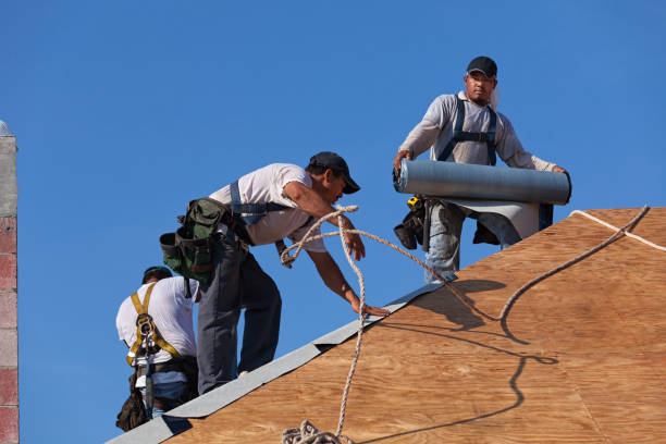 Best Residential Roofing Contractor  in South Miami, FL