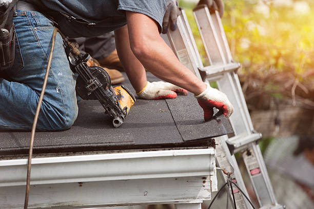 Best Roof Gutter Cleaning  in South Miami, FL