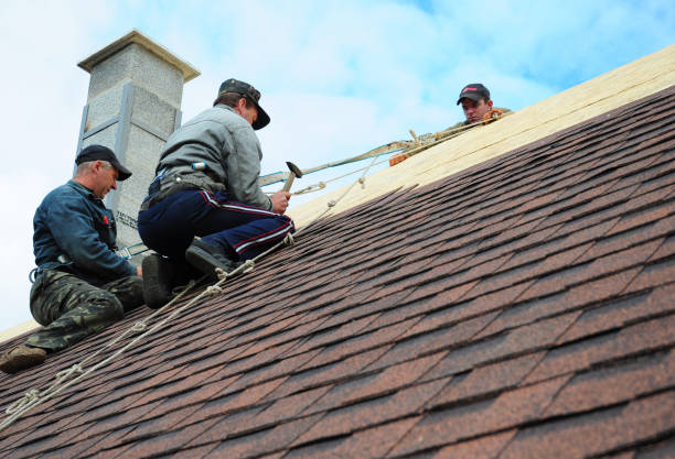 Best Residential Roof Replacement  in South Miami, FL