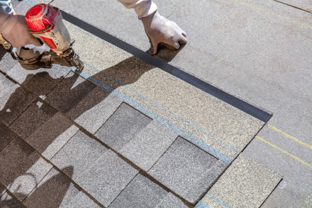 Best Residential Roofing Contractor  in South Miami, FL