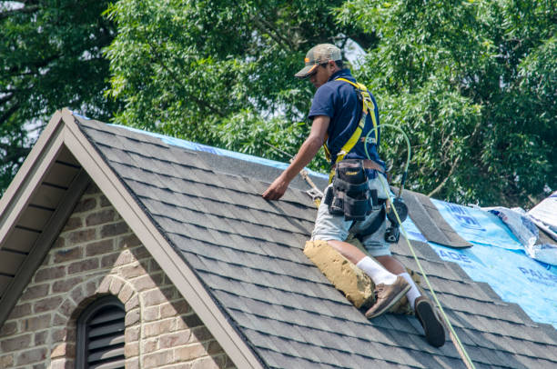 Best Gutter Installation and Roofing  in South Miami, FL